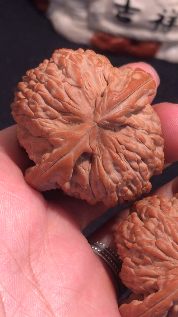 文玩核桃,元宝型闷尖白