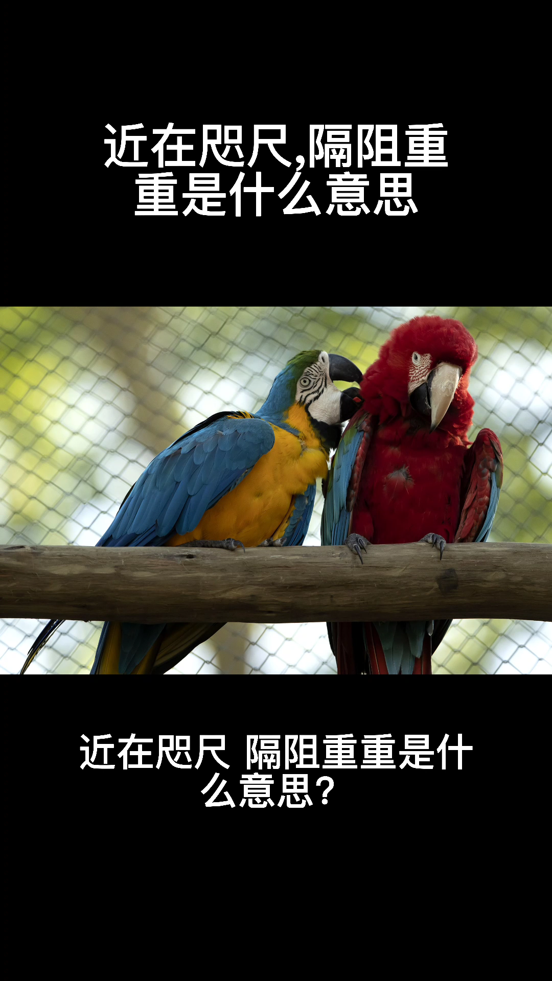 近在咫尺,隔阻重重是什么意思