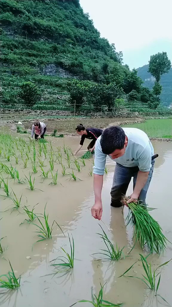 第一次来帮我干活儿,还不好好干.这样帮忙的还能用吗