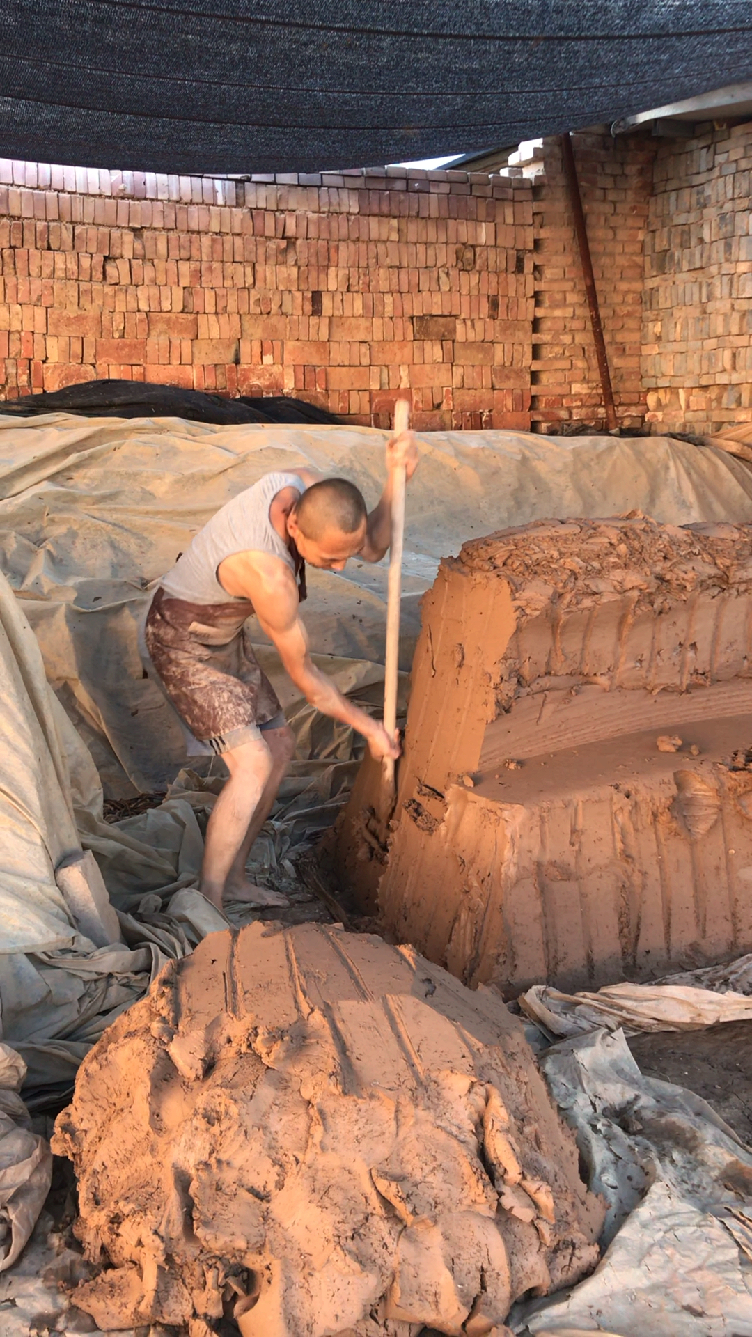 做手工砖瓦的泥巴,以前是用牛或者人踩踏的,现在是用挖掘机来处理的.