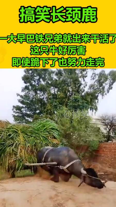 发个视频 让别人知道