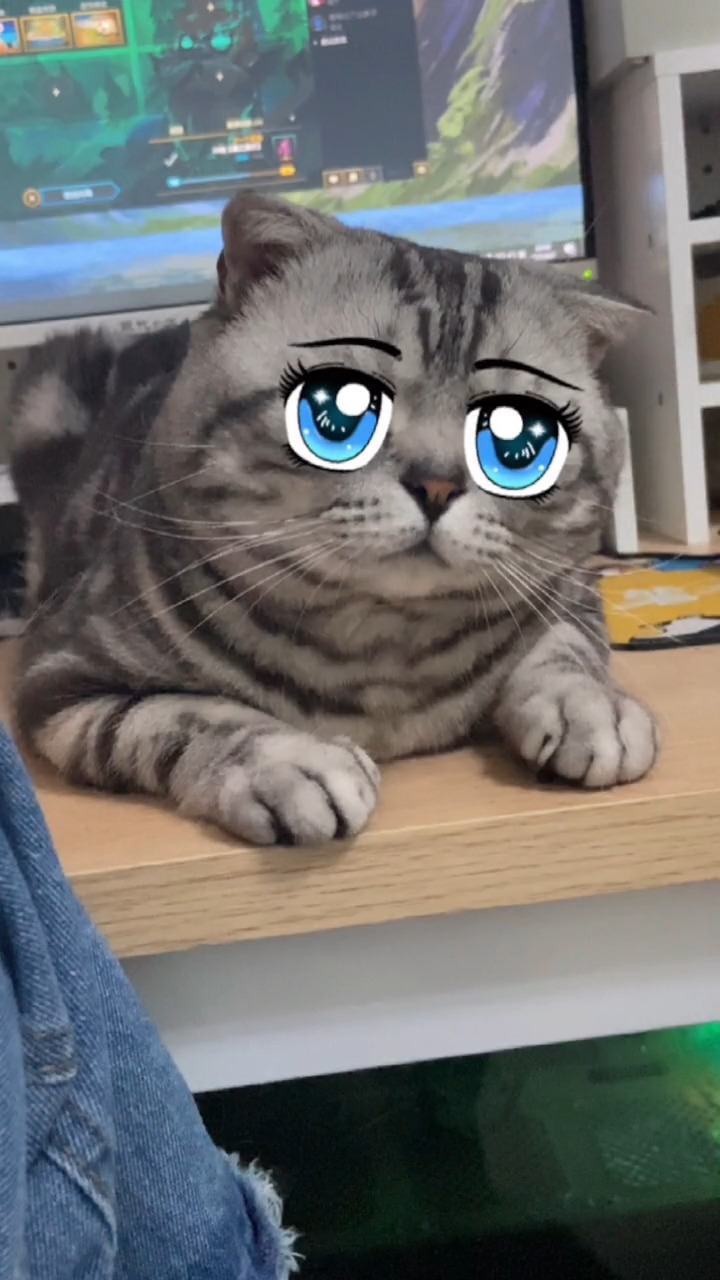 东尼本来就长这样啊,眼睛大就是p的吗?