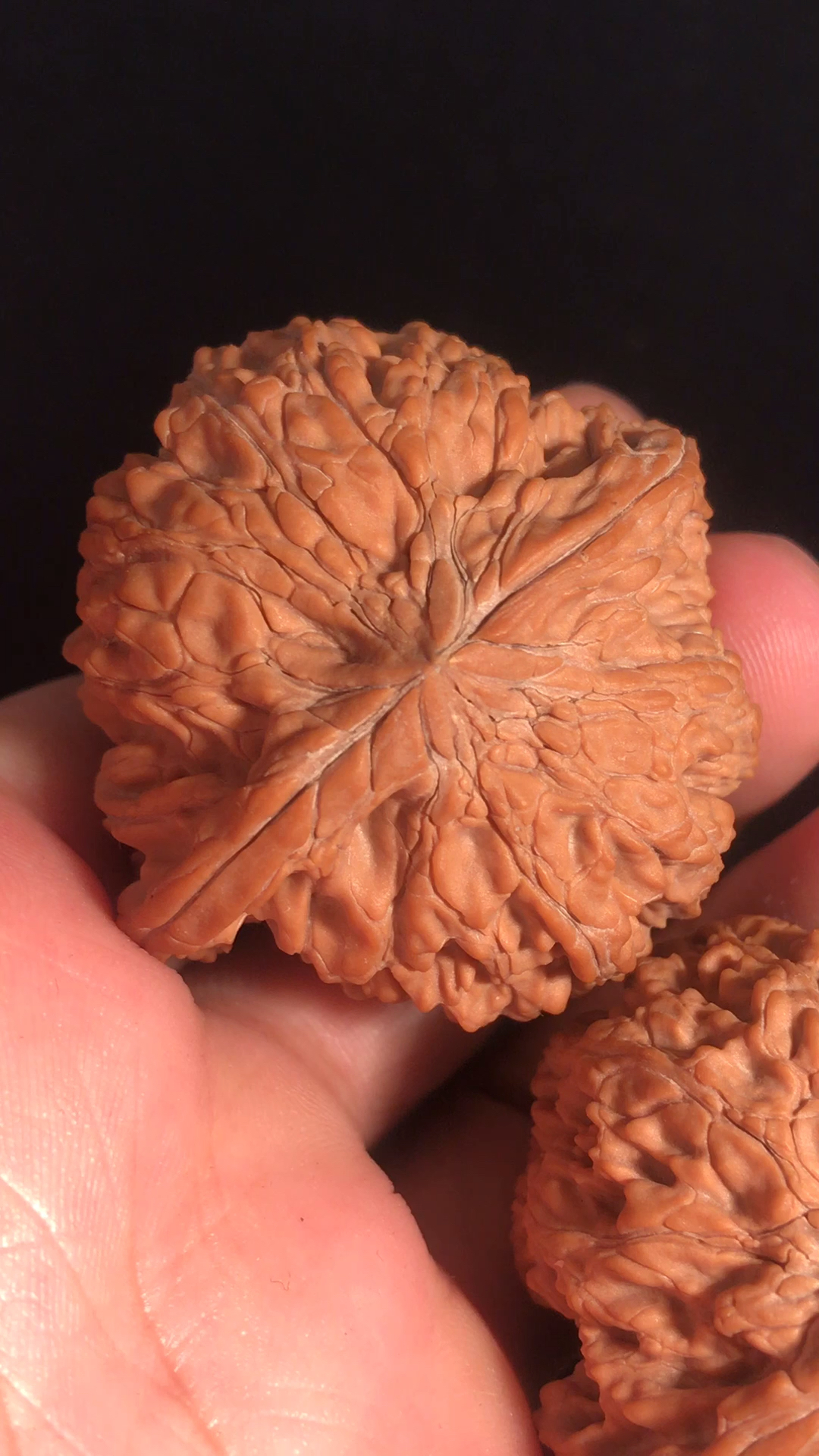 文玩核桃#圆球和尚头,全品无修