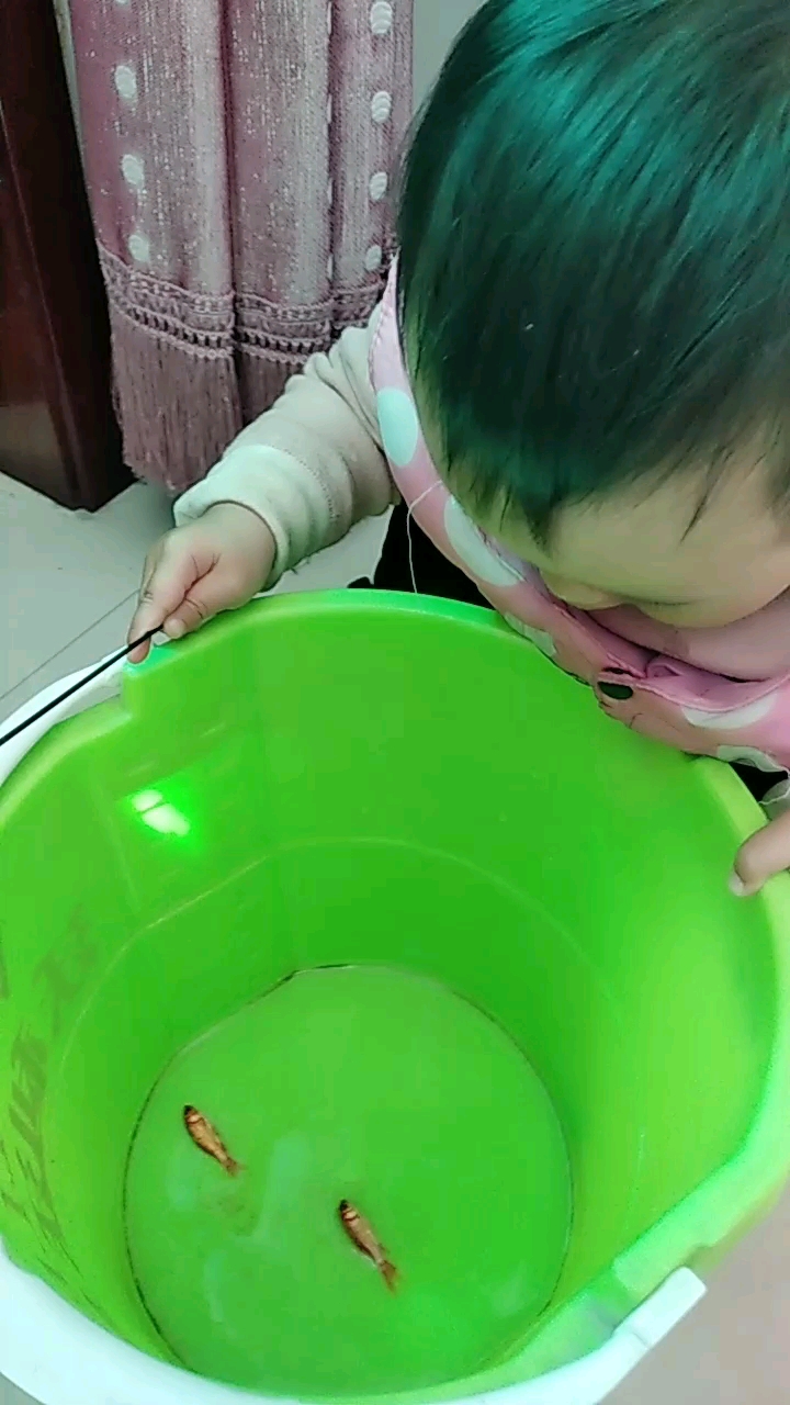 宝宝在捞鱼.