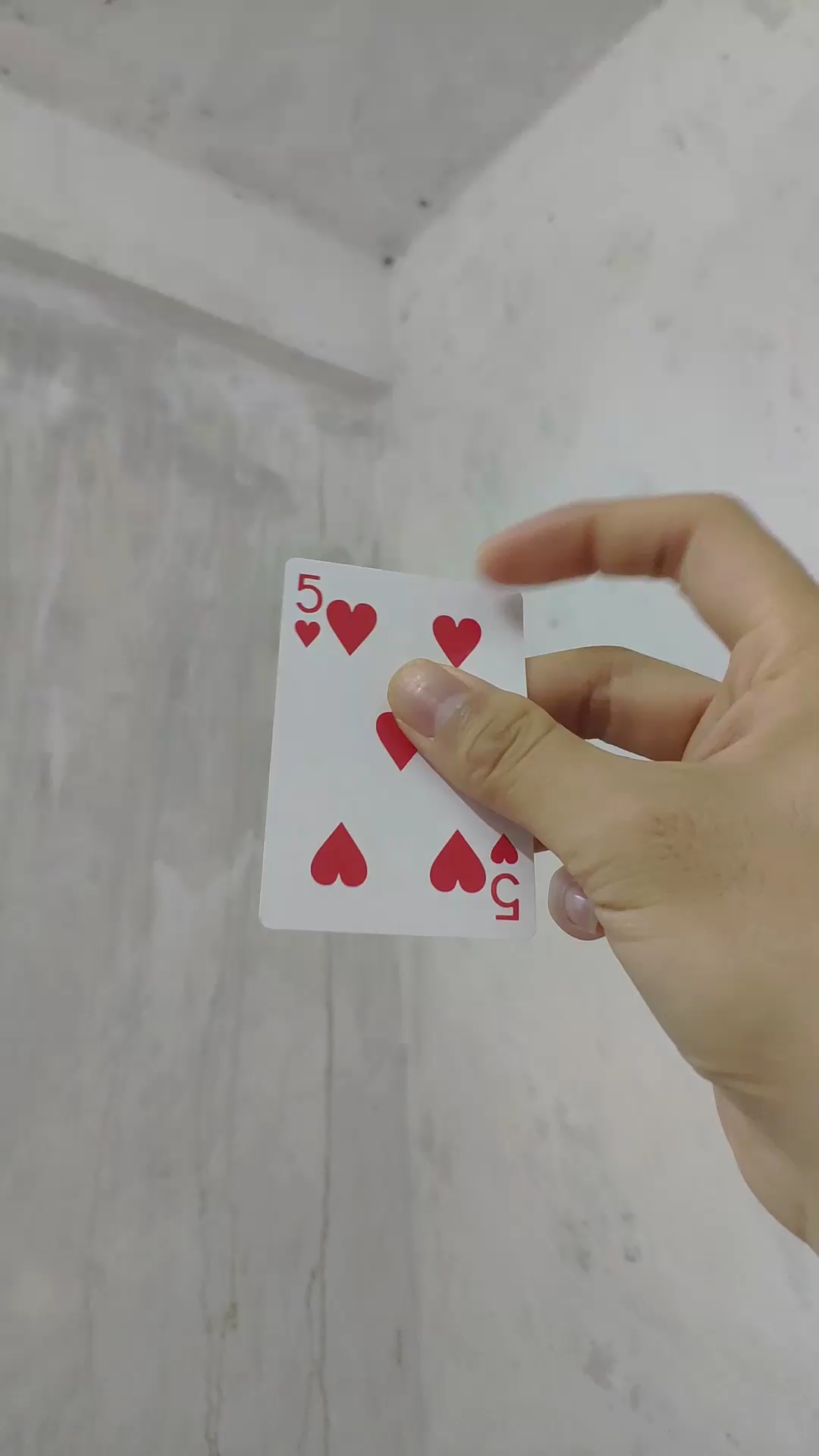 慢动作回旋飞牌,一遍就会