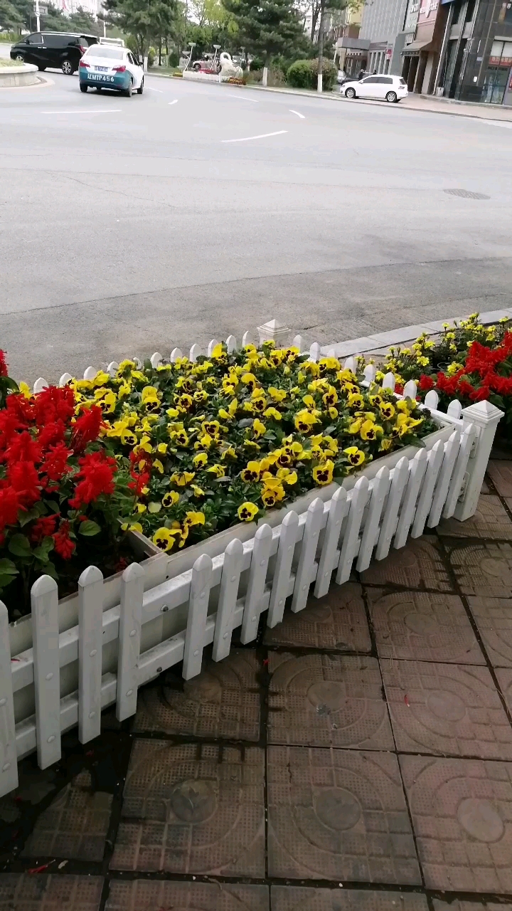 爱的魔力转圈圈#花美心情更美