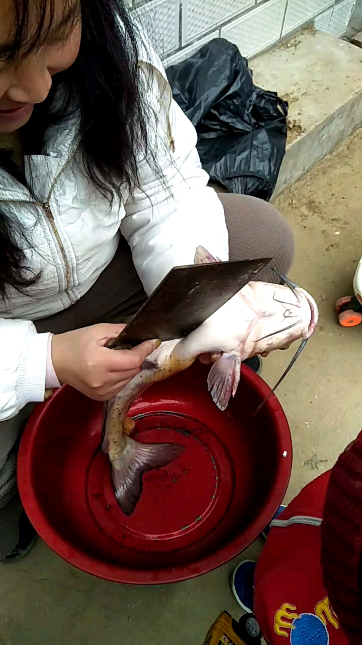 音为有你#美女杀鱼刀太钝了