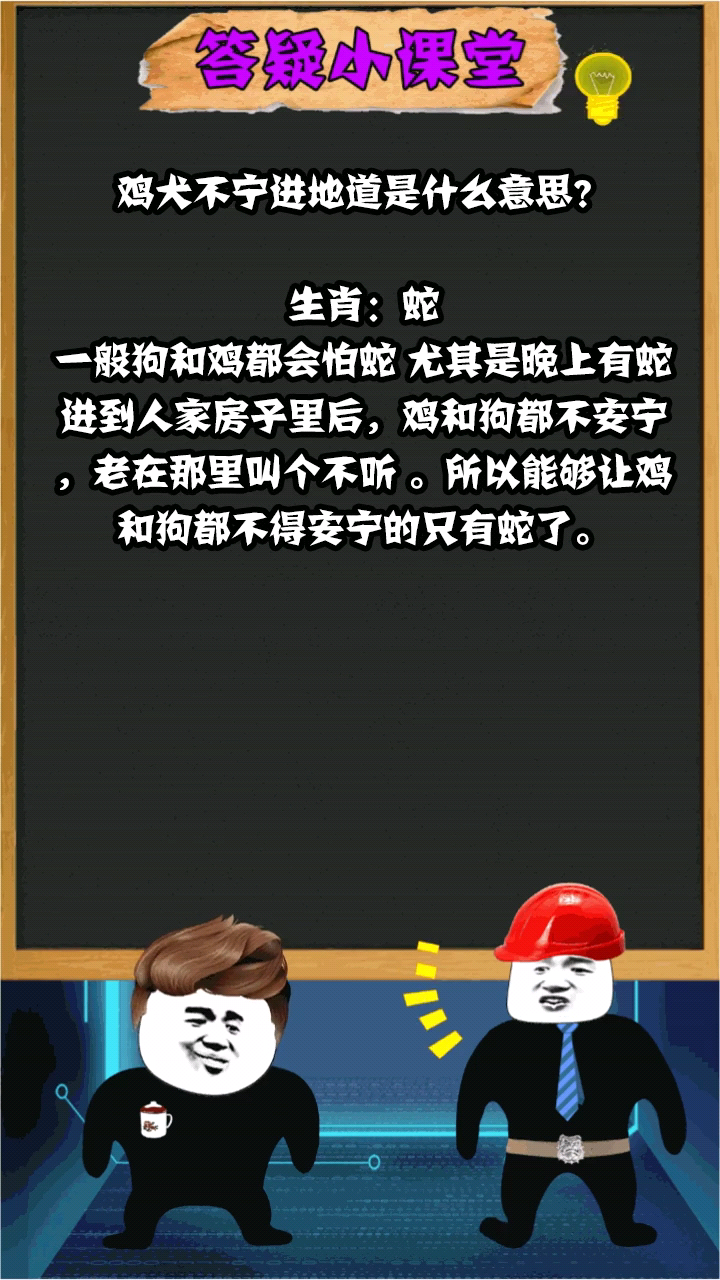 鸡犬不宁进地道是什么意思?