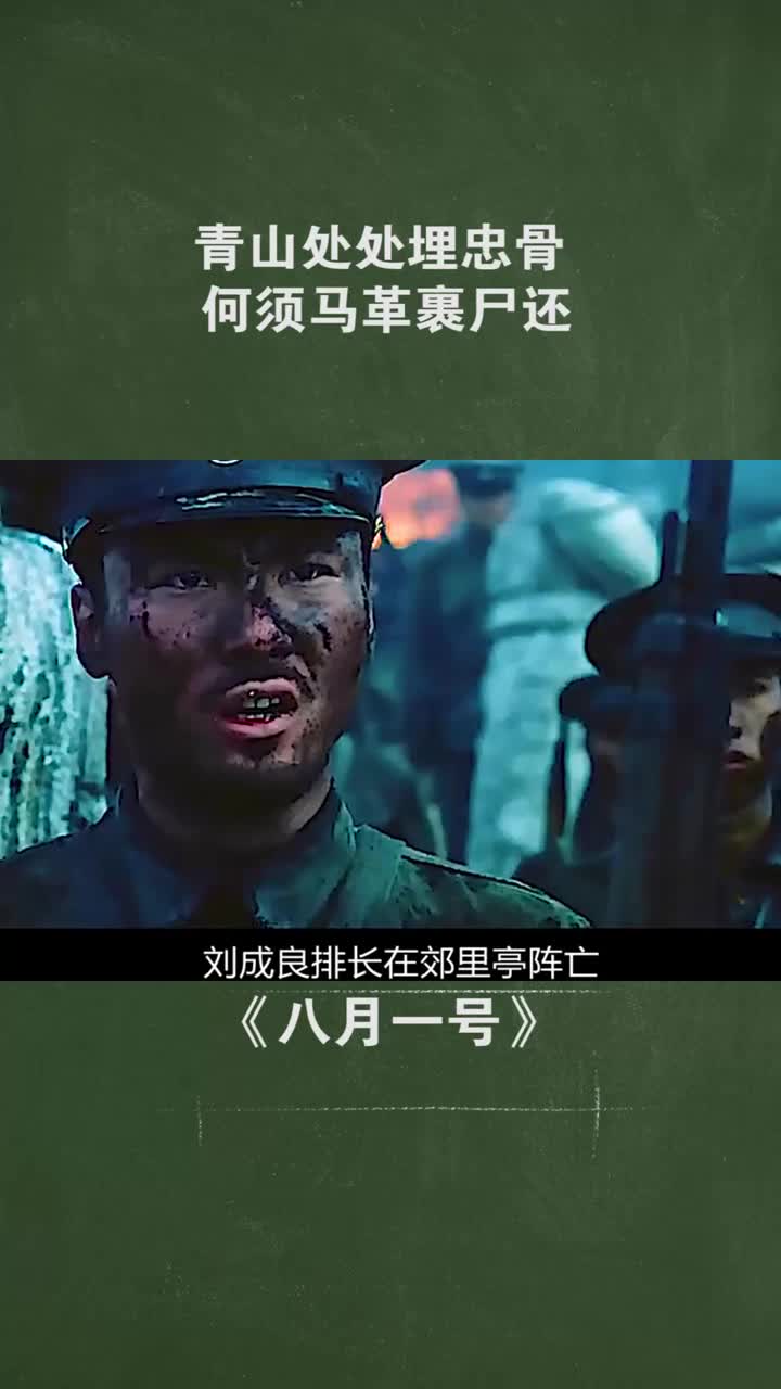 记录生活青山处处埋忠骨何须马革裹尸还