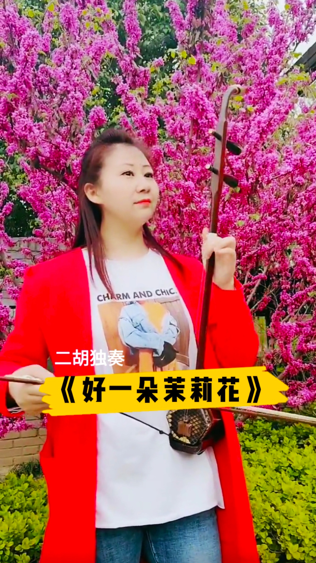 经典老歌美女二胡拉奏经典老歌好一朵茉莉花琴音婉转悠扬声声醉人心