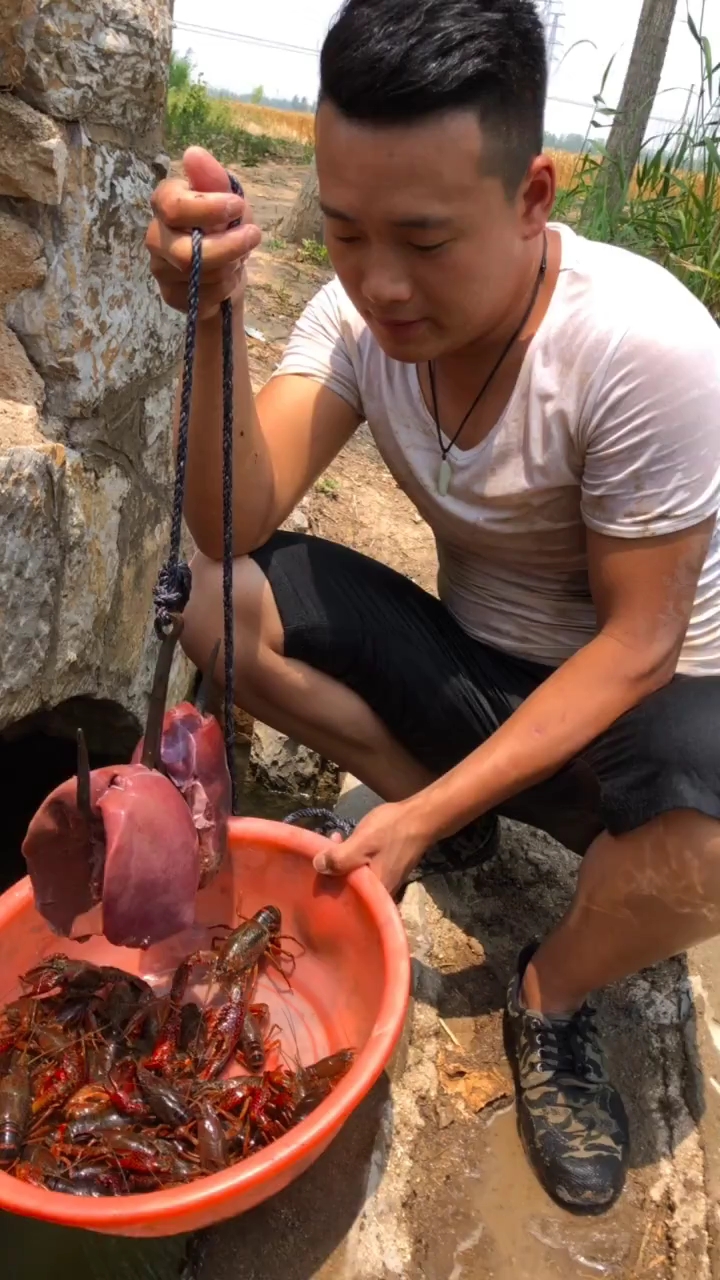 一钓几十只大龙虾