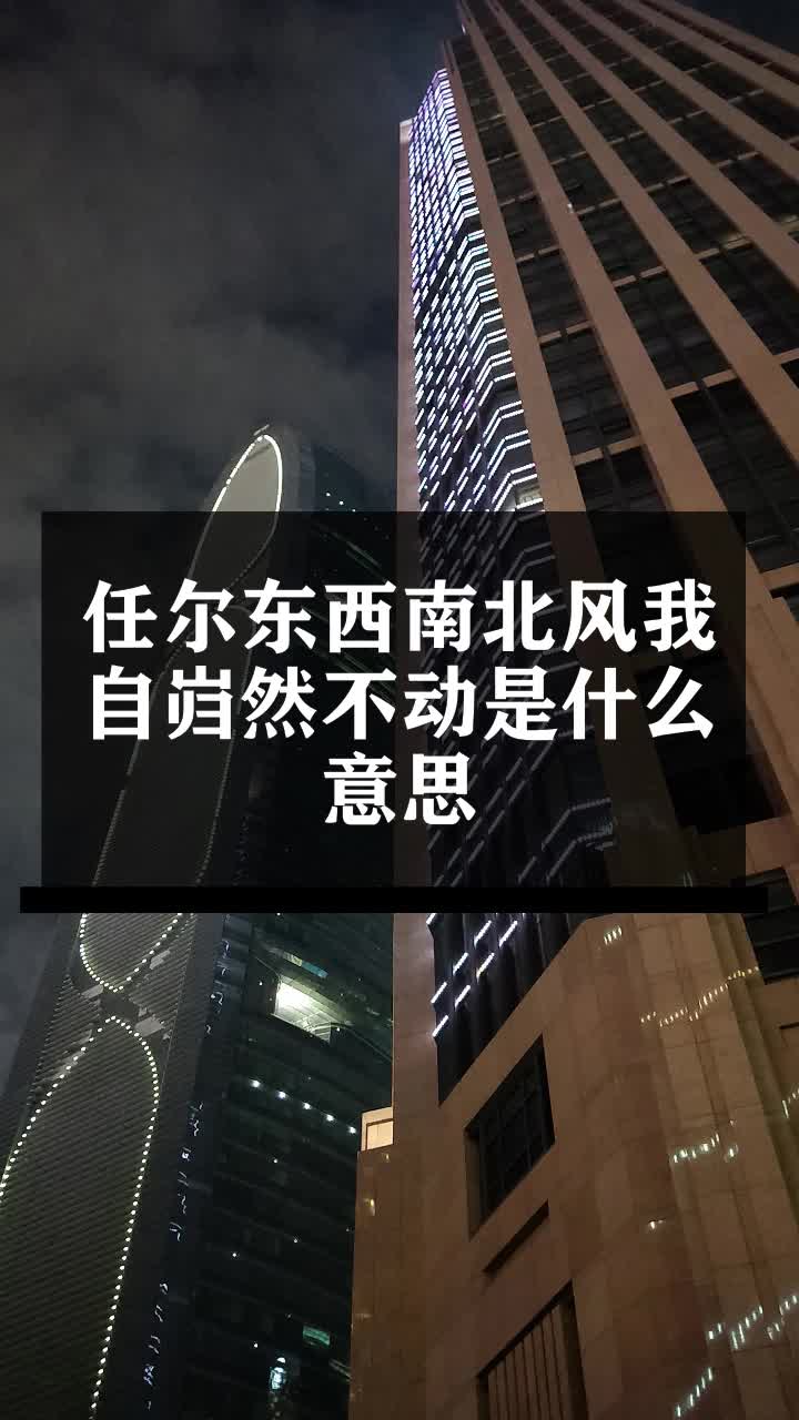 任尔东西南北风我自岿然不动是什么意思