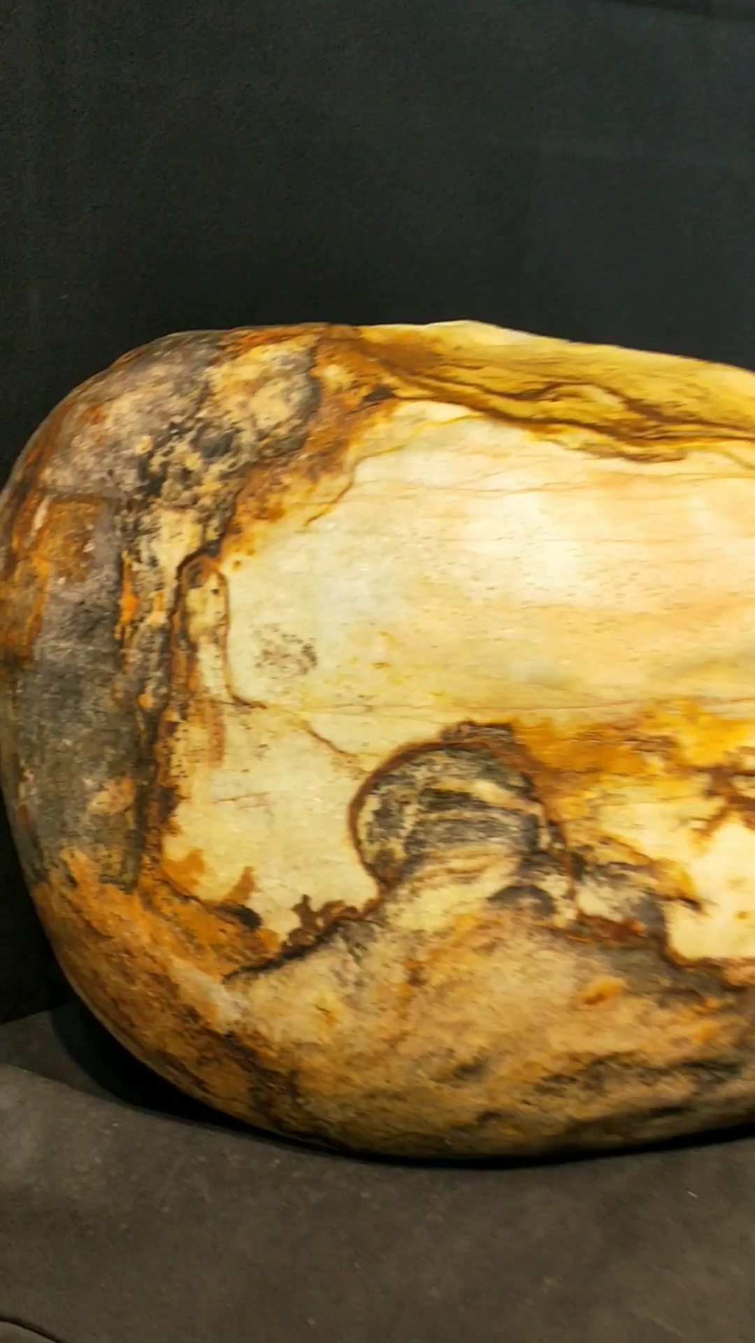 长江碳化石赏析