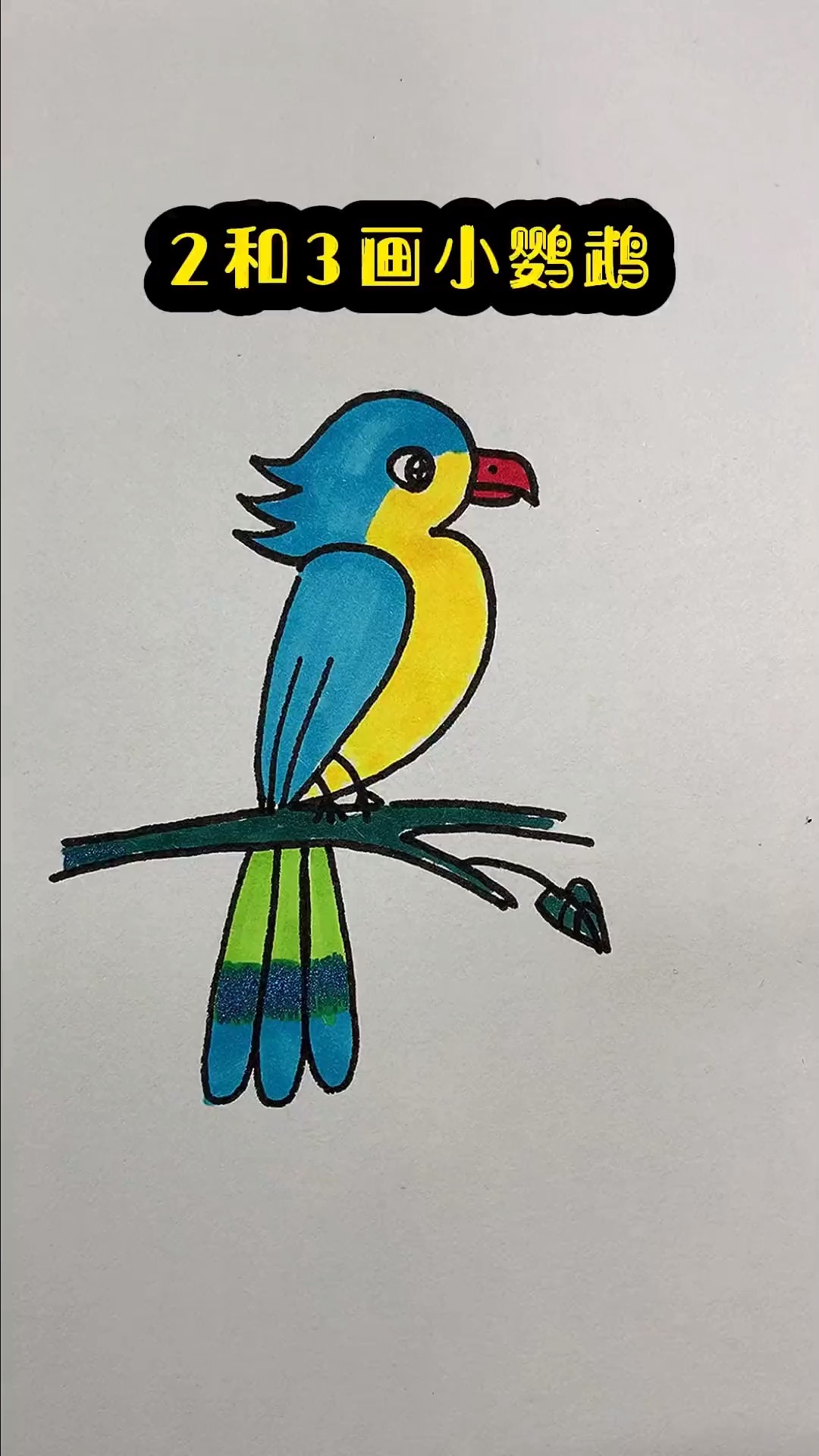 简笔画鹦鹉的画法图片