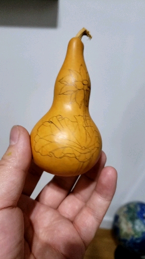 烙画葫芦~一朵莲(底稿)