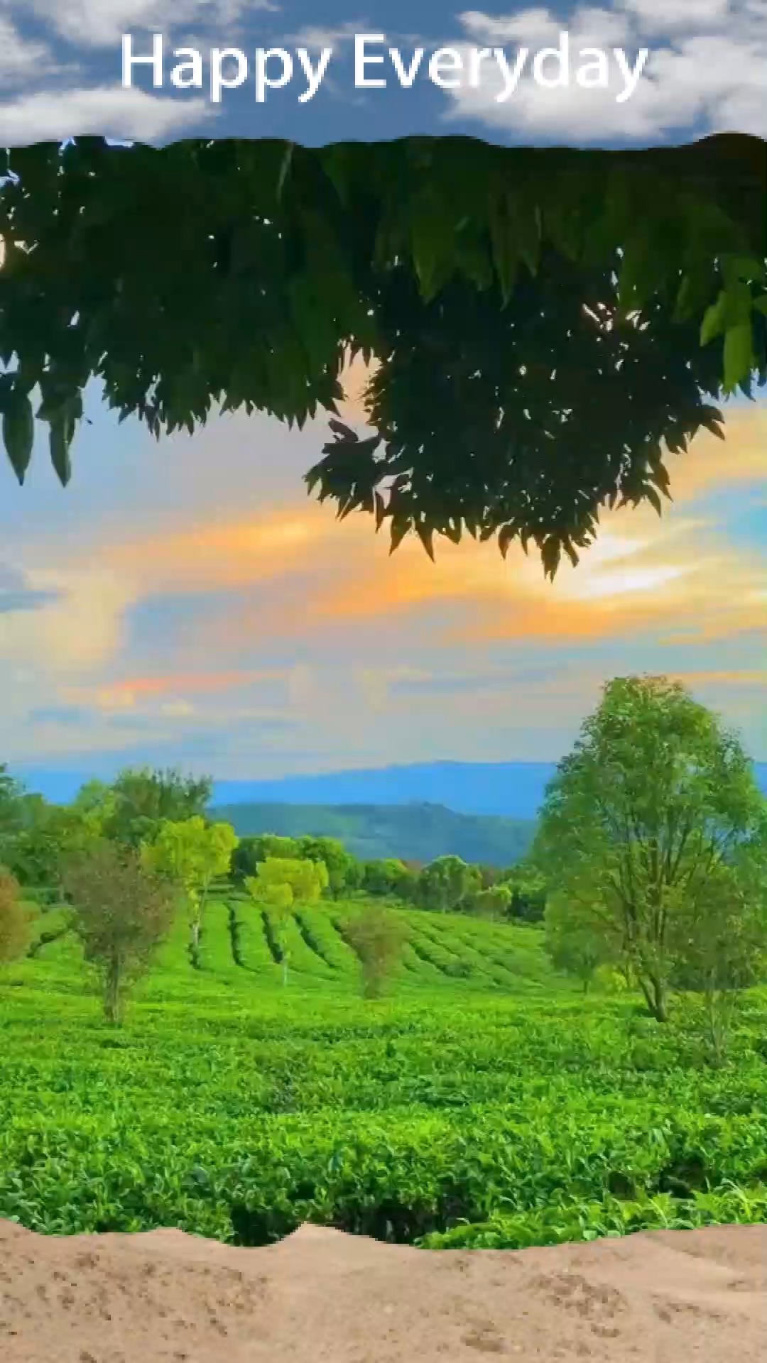 希望日子清净抬头皆是温柔