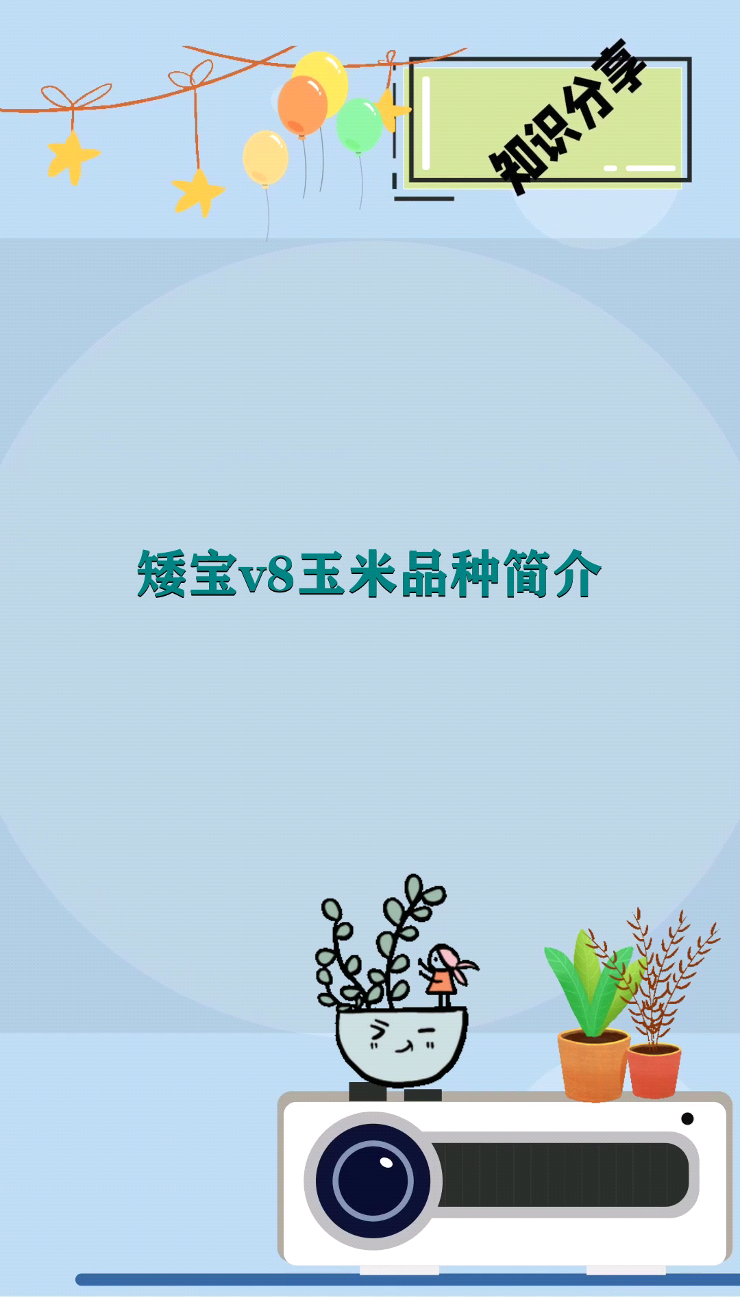 矮宝v8玉米品种简介