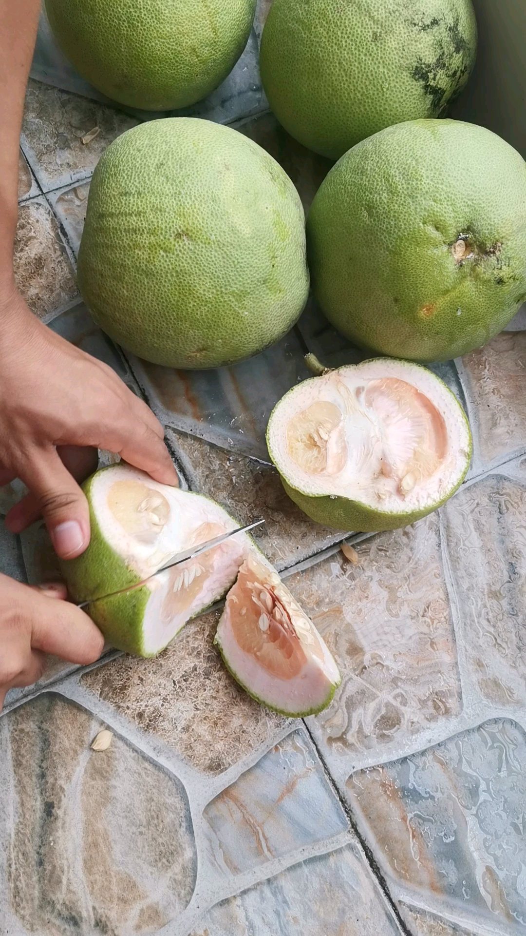 没熟的柚子切开是这样的