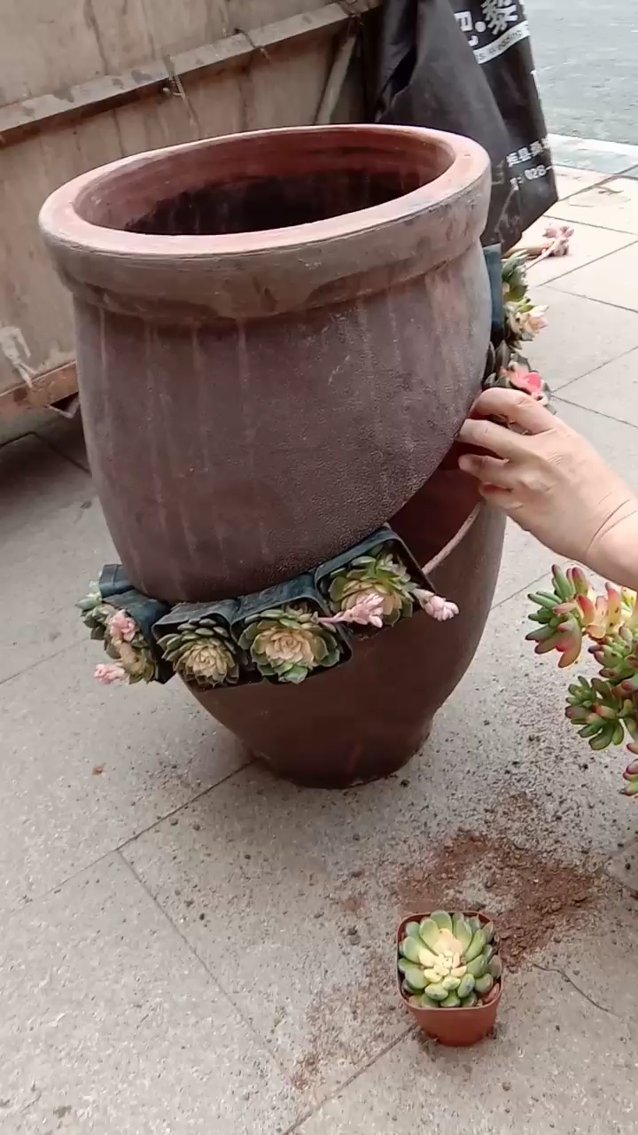 泡菜坛子改造艺术花盆图片