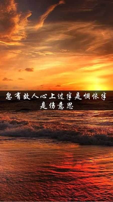 忽有故人心上过半是惆怅半是伤意思