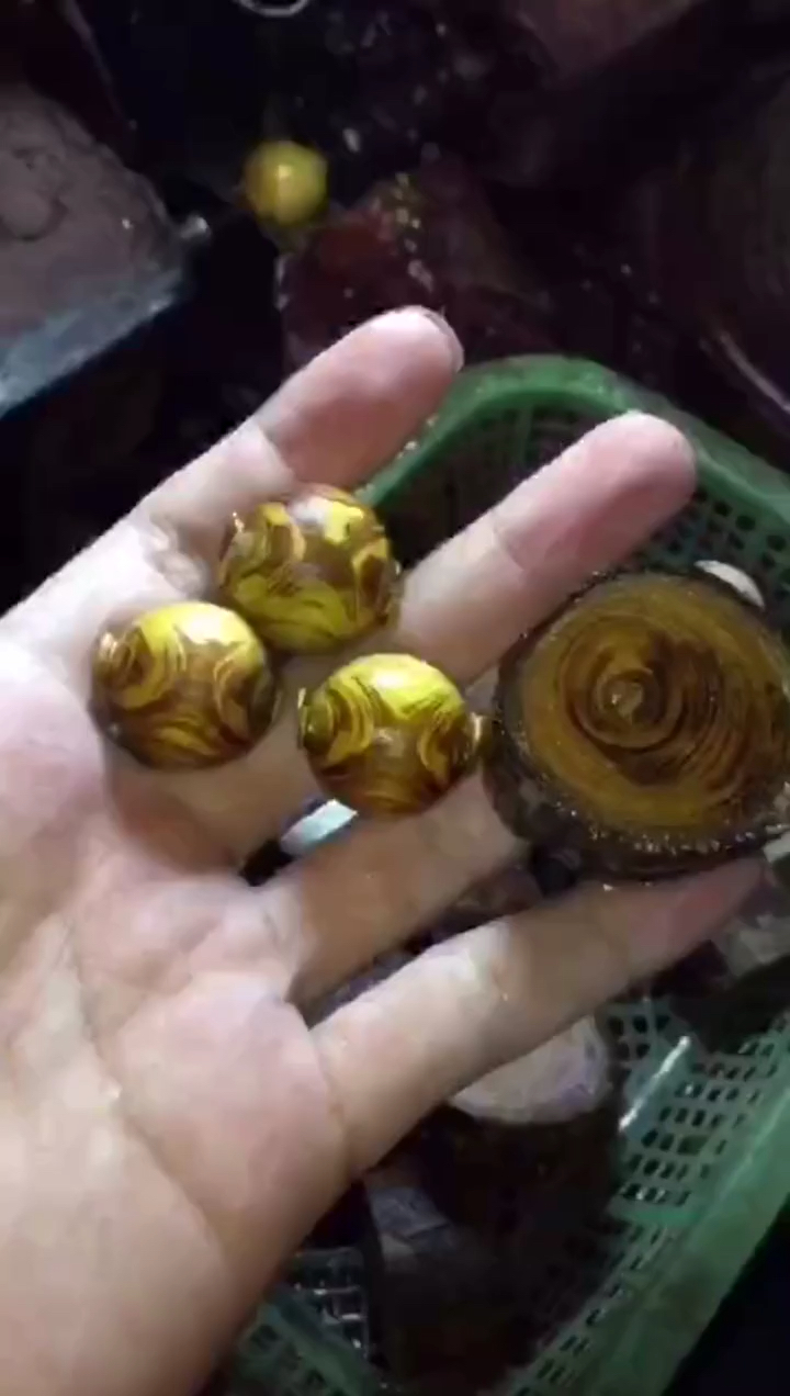 黄金柚对眼一串58米