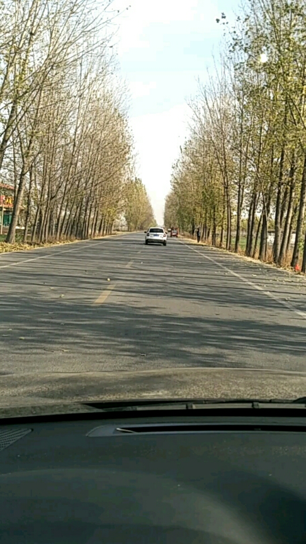 初秋的天,冰冷得夜,回忆慢慢袭来