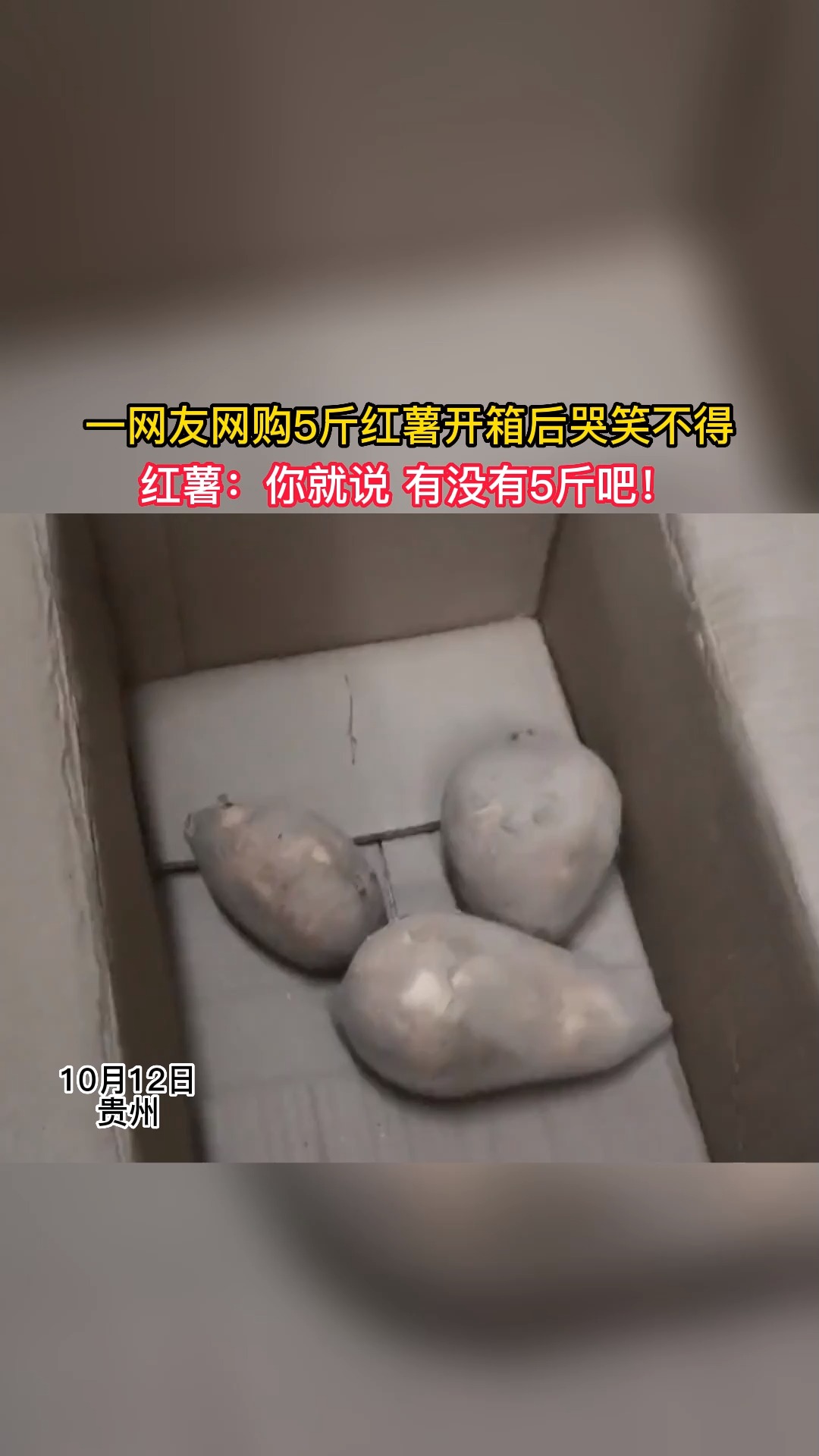 搞笑10月12日贵州一网友网购5斤红薯开箱后哭笑不得