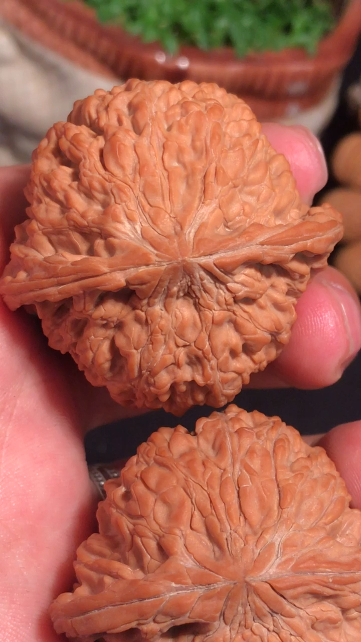 文玩核桃 和尚头