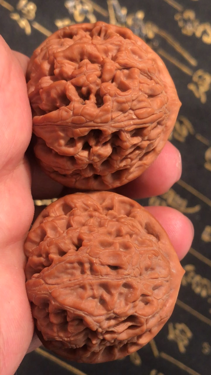 文玩核桃#水龙纹狮子头