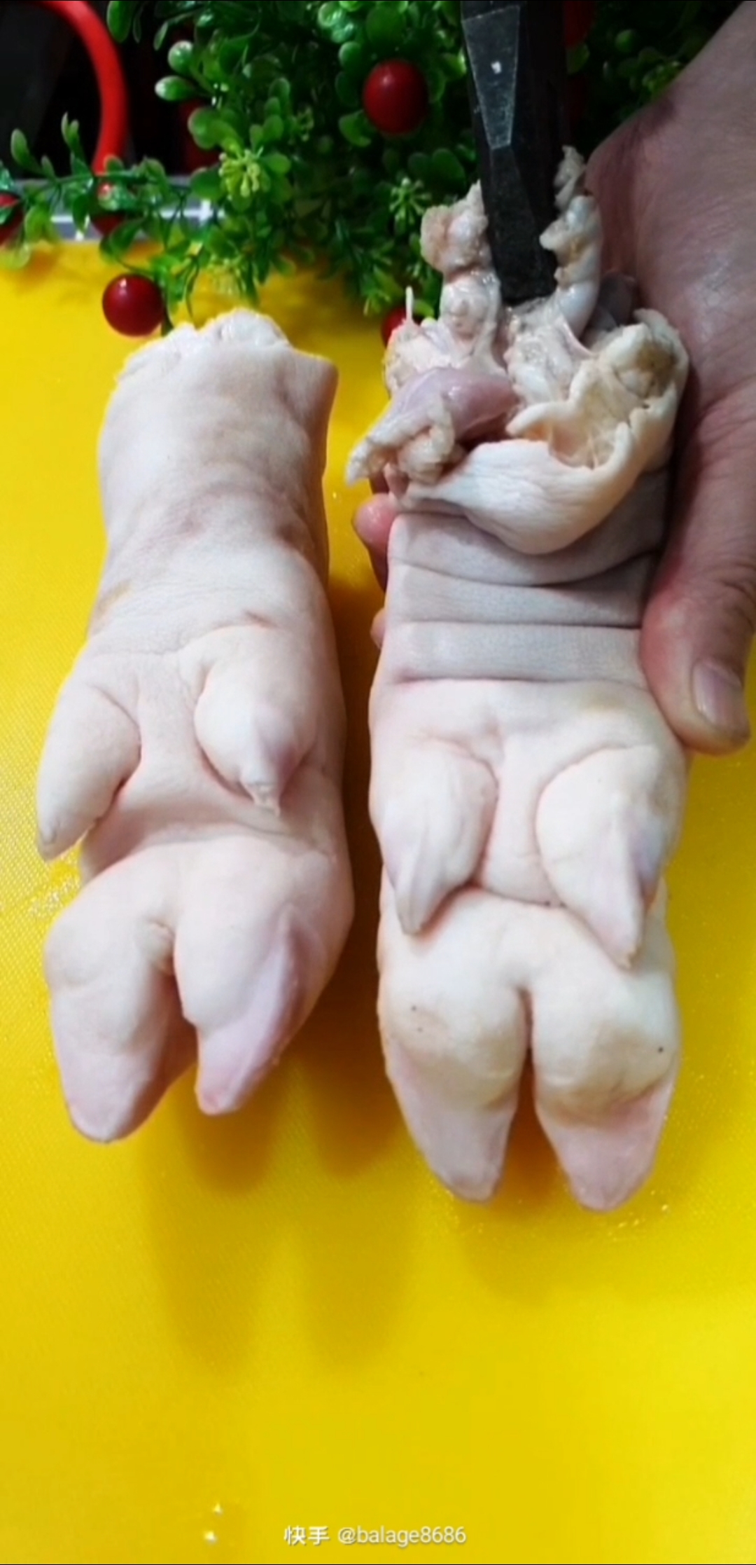 教你怎样分辨猪前蹄后蹄,学会这一招过年买到全筋猪蹄-度小视