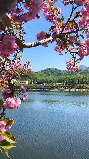 春天青山绿水花开图片图片