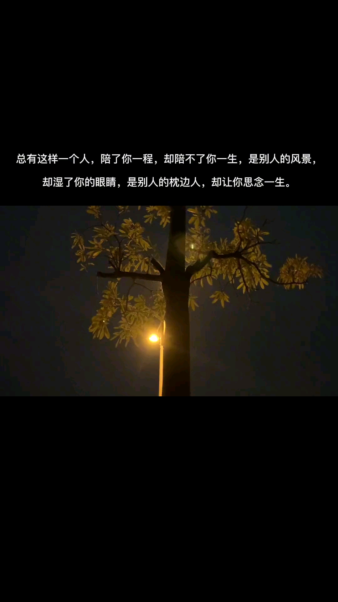 總有這樣一個人,陪了你一程,卻陪不了你一生,是別人的風景,卻溼了你的