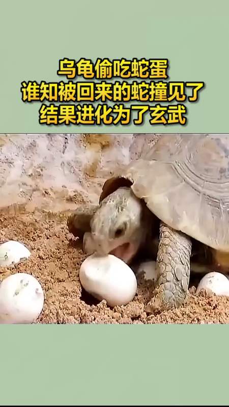 2021-05-20 相关推荐自动播放