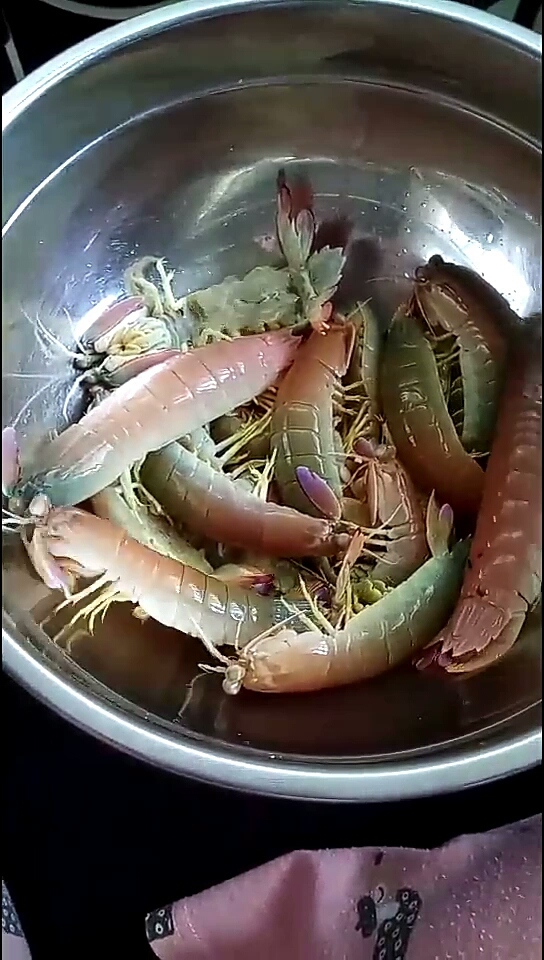 彩色虾姑,你们吃不