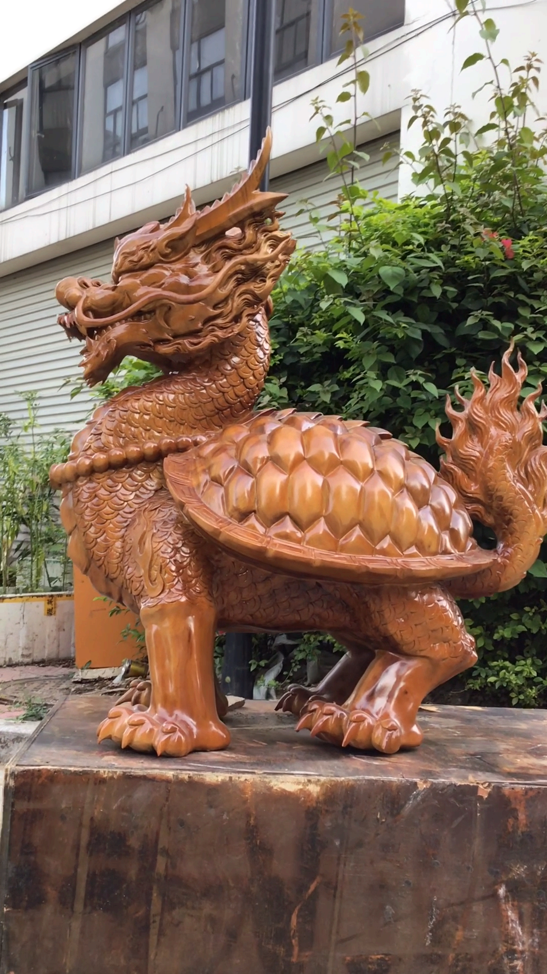 谁家的请带走!精品