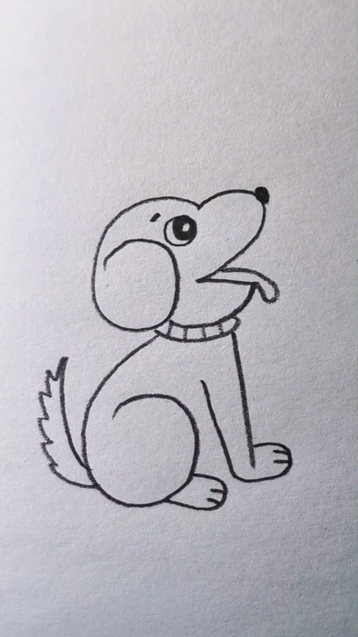 一只小哈巴狗蹲在大门口,两眼黑黝黝,想吃肉骨头,画出来很可爱