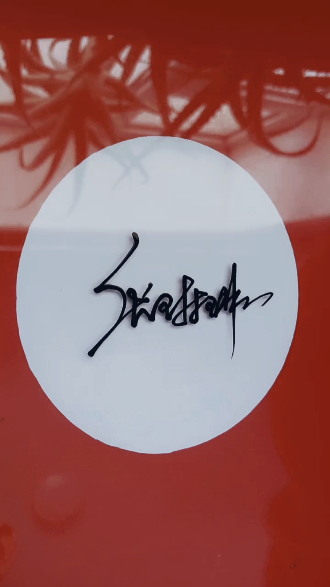 签名要有创意,欣赏后使您大开眼福#张琳琳,你的名字写好了