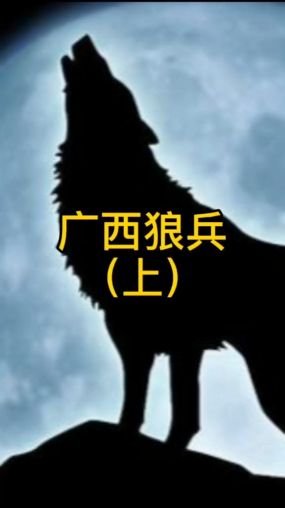 广西狼兵(上)#广西 #历史 #狼兵