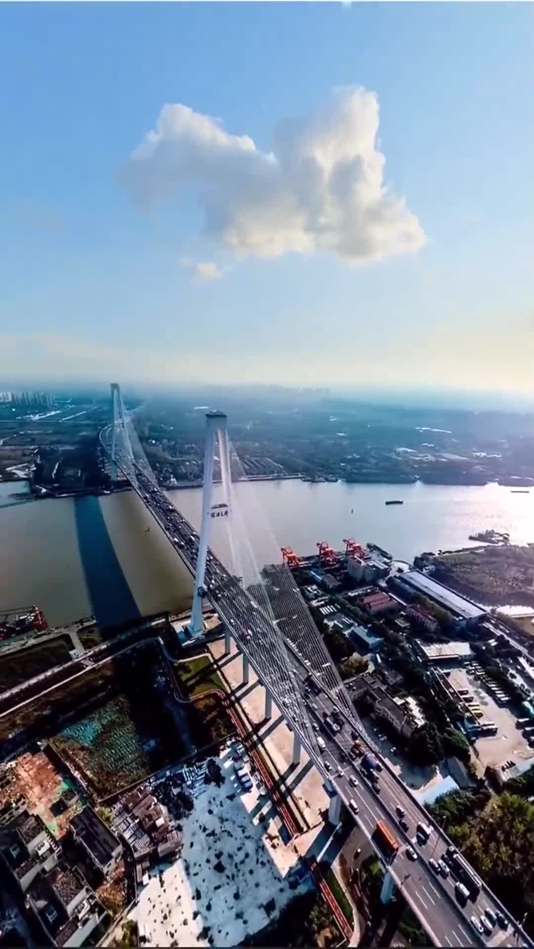 徐浦大桥上看上海黄浦江美景从上往下看一览无遗太美了