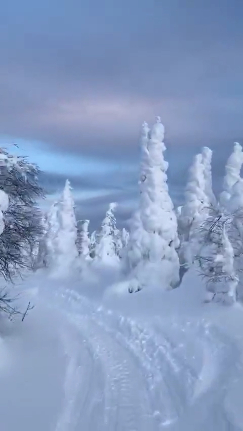 新西伯利亚的雪景