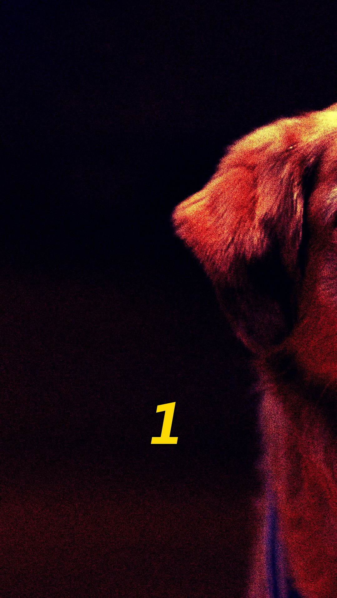 狗狗这条狗狗会打篮球帮主人夺得冠军飞狗巴迪第3集