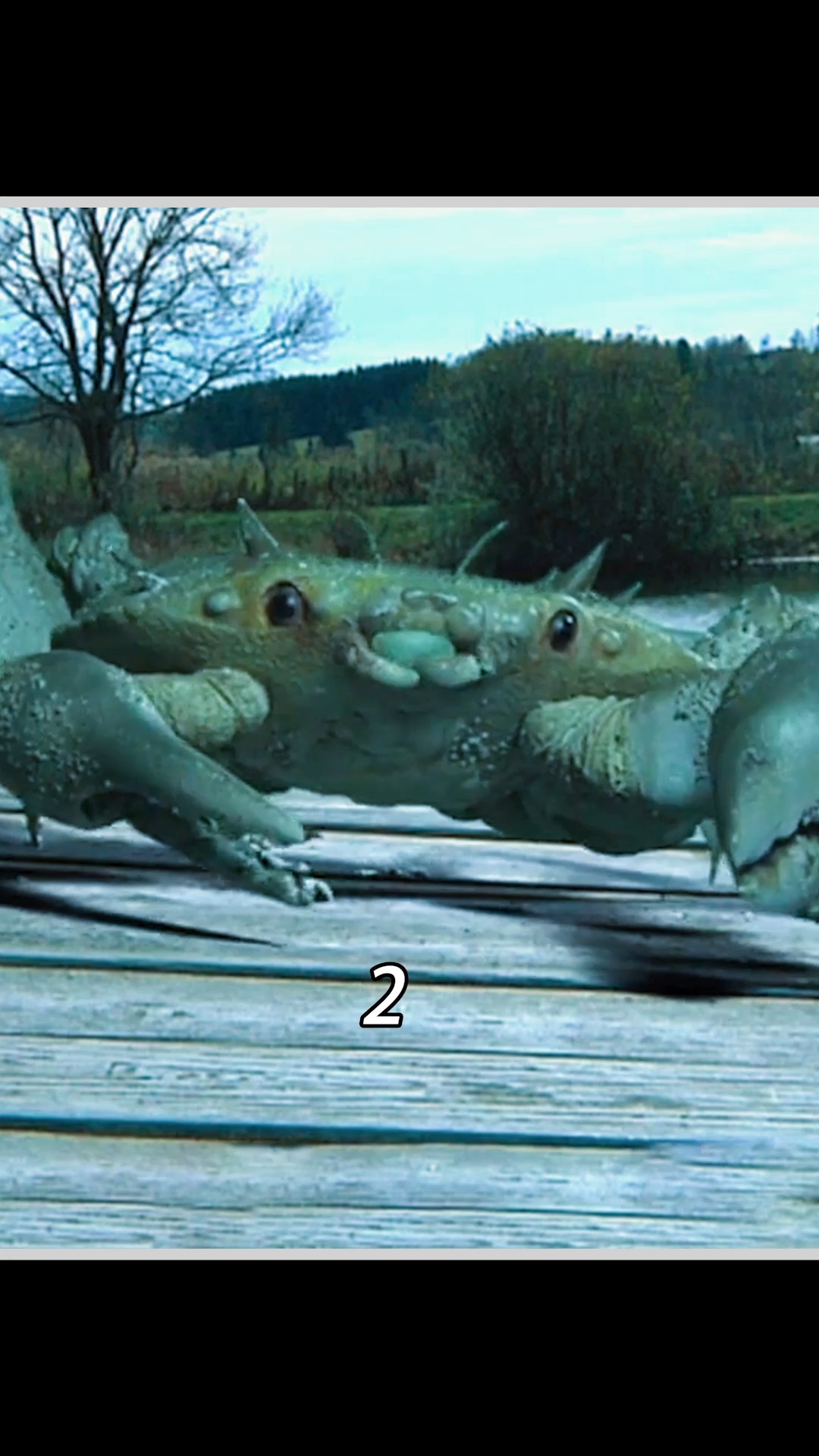 电影解说女孩捡个螃蟹当宠物不料几年后变异成怪物