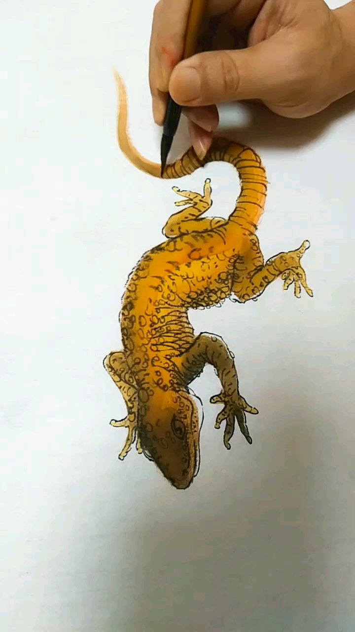守宽画国画蜥蜴