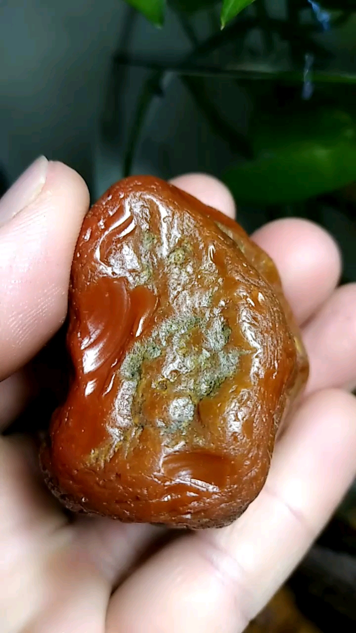 还乡河精品细蜡