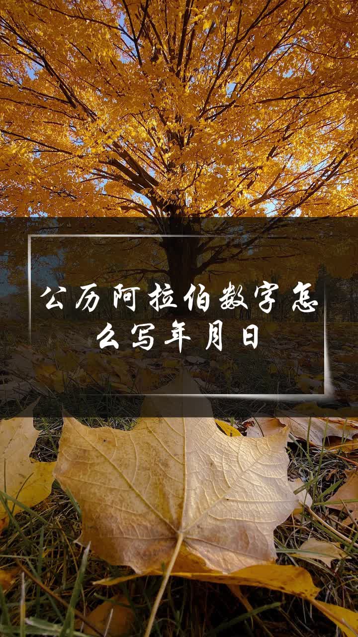 公历阿拉伯数字怎么写年月日