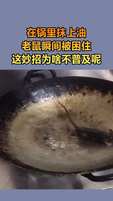 我要上熱門#在鍋裡抹上油,老鼠偷油吃上不來