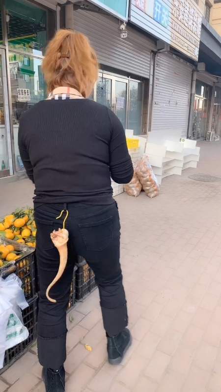 猪尾巴装在美女身上的价值就不一样了.