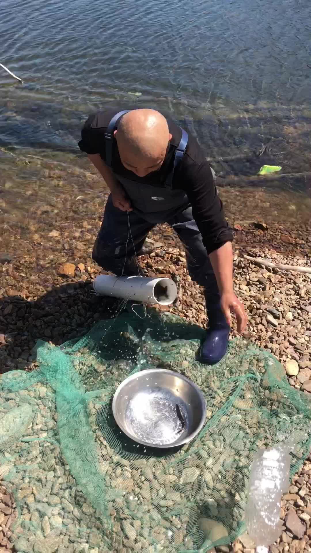 下了一天的捕魚神器