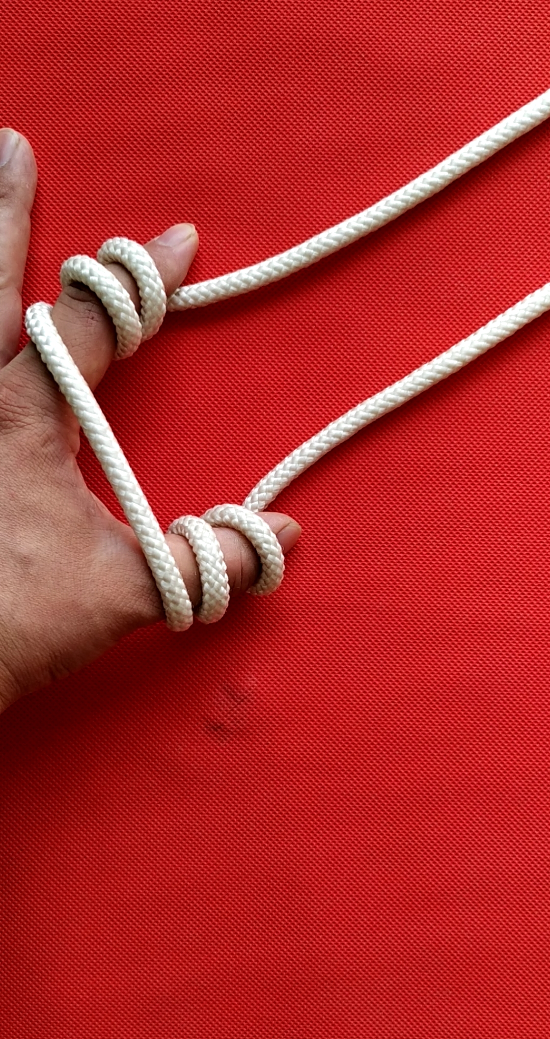 野狼disco#普鲁士抓结,通常被称作抓结!