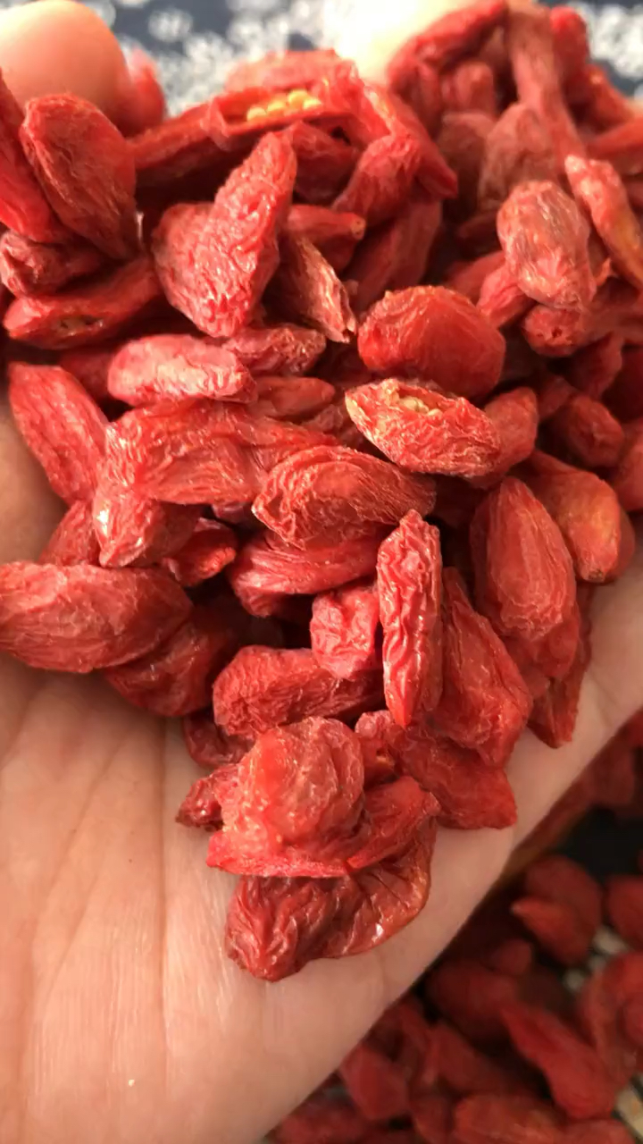 教你如何辨认真枸杞7815-度小视